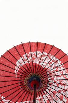 和傘　紙傘　踊り傘　白バック 和傘,白バック,紙傘の写真素材