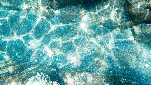 浅瀬のキラキラ 浅瀬のキラキラの写真