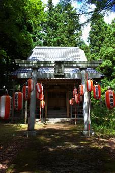 新潟山古志虫亀　諏訪神社 木,日射し,木々の写真素材