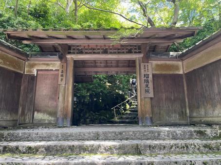 京都 夏の瑠璃光院 山門 京都 夏の瑠璃光院 山門の写真
