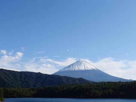 西湖から見る秋の富士山 富士山,秋の富士山,富士山山梨側の写真素材