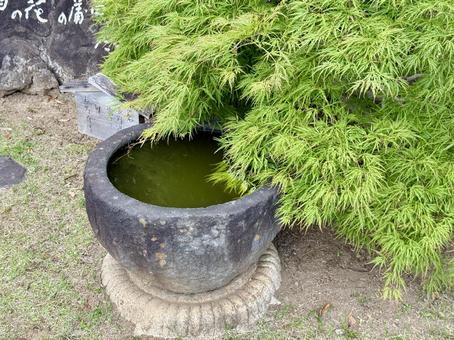 堀切菖蒲園 堀切菖蒲園 芝生,草,灯籠の写真素材