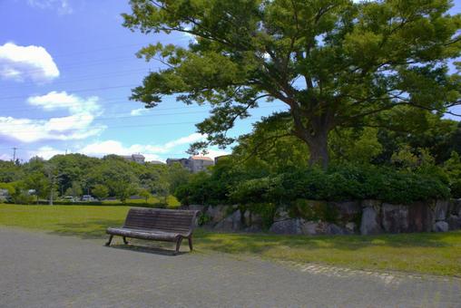 Photo, bench, blauer himmel, park, 