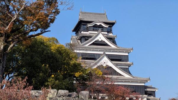 熊本城 熊本,城,旅の写真素材