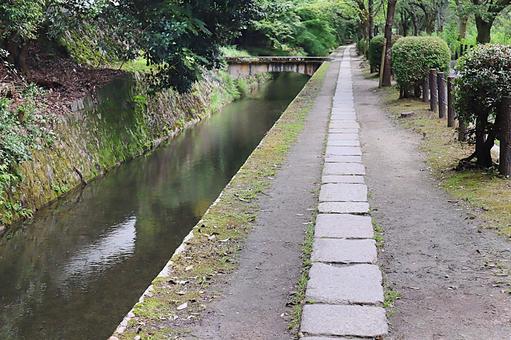 京都 哲学の道 京都 哲学の道 哲学の道,京都,観光の写真素材