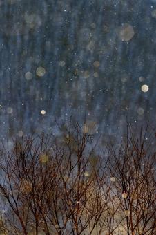 夜明けのダイヤモンドダスト_縦 ダイヤモンドダスト,冬,雪の写真素材