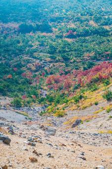 福島県　磐梯吾妻スカイラインの風景 磐梯吾妻スカイライン,福島,福島県の写真素材