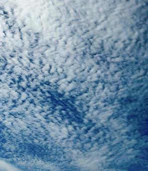 鱗雲。秋の空 鱗雲。秋の空の写真