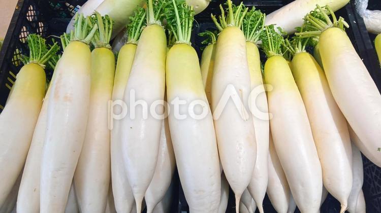 大根　　 大根,野菜,売り場の写真素材
