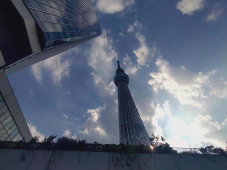 東京スカイツリー 東京スカイツリーの写真