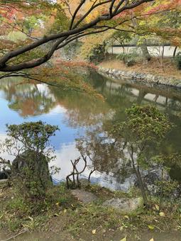 初紅葉 水鏡 西の丸庭園,水鏡,紅葉渓庭園の写真素材