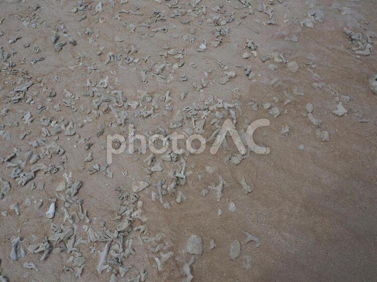 波照間島のニシ浜の波打ち際 ニシ浜,ビーチ,波照間島の写真素材
