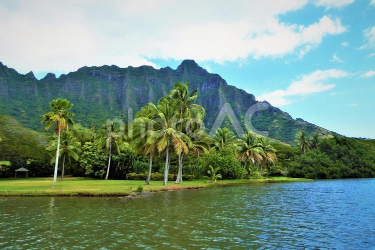 オアフ島の風景　背景画像 ハワイ,リゾート,海外旅行の写真素材