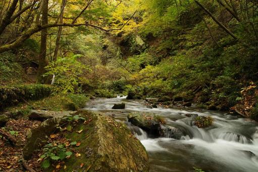 川 川 竜返しの滝,川,苔の写真素材