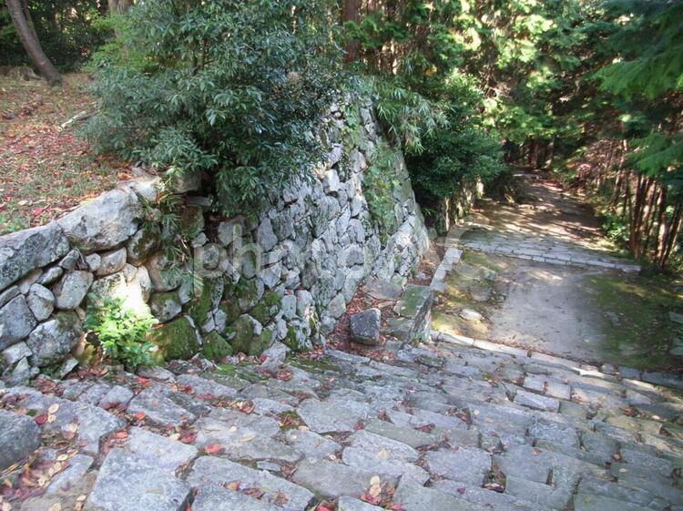 摠見寺跡石段 安土城跡,安土城の写真素材