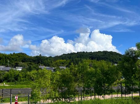 夏の風景 夏の風景の写真