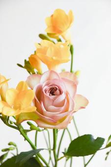 薔薇とフリージアの写真