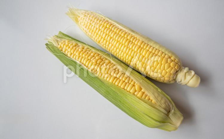 トウモロコシ 野菜,有機野菜,食材の写真素材