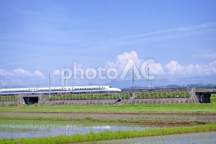 夏の田んぼに走る新幹線 新幹線,田んぼ,夏の写真素材