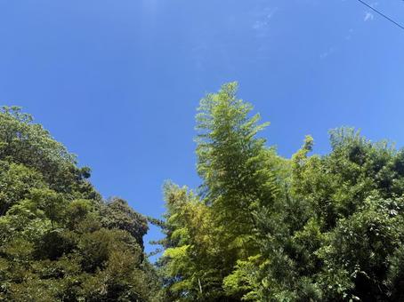 青空 青空 青空,空,景色の写真素材