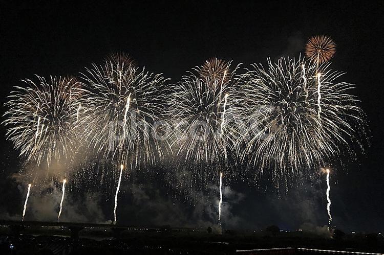 25柏崎ぎおん祭り　花火 きれい,美しい,夜空の写真素材