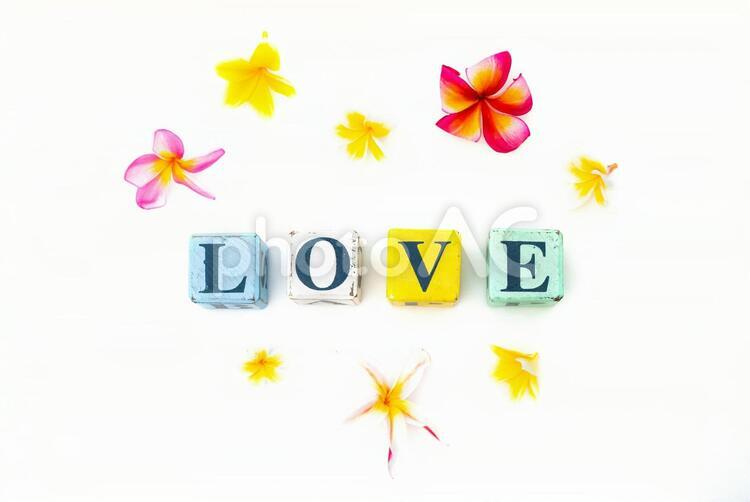 LOVEとプルメリア 愛,花,ラブの写真素材