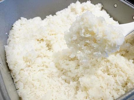 業務用炊飯器/しゃもじでご飯をよそう 大釜,炊飯器,大きなの写真素材