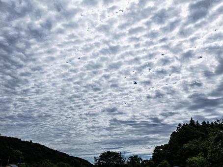 うろこ雲2 うろこ雲2の写真