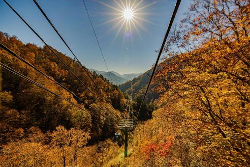 新潟県 苗場ドラゴンドラからの秋景色 新潟県 苗場ドラゴンドラからの秋景色 紅葉,秋,苗場ドラゴンドラの写真素材