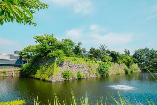 Photo, wakayama, wakayama city, 2025, 
