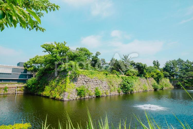 【和歌山】和歌山城  2025 和歌山,和歌山城,2025年の写真素材