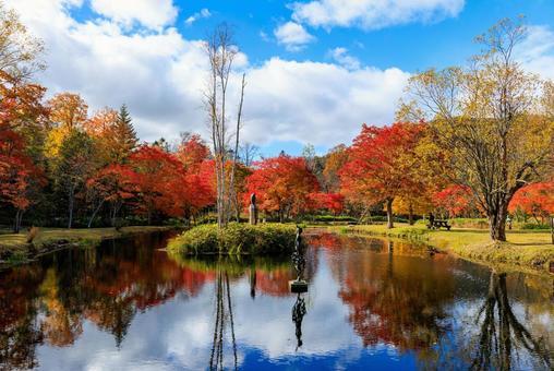 北海道の紅葉 紅葉,秋,池の写真素材