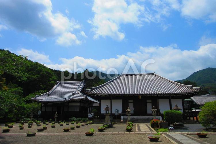 奈良県-當麻寺-奥院-御影堂と阿弥陀堂 當麻寺,寺,二上山の写真素材
