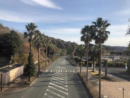 道 道の写真