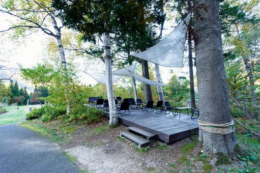 森林浴 自然,道,風景の写真素材