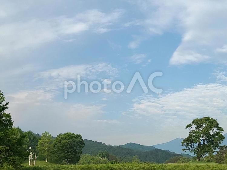 空と雲と木の風景 空,雲,木の写真素材