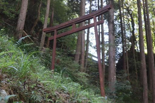 廃神社の鳥居 神社,廃墟,鳥居の写真素材