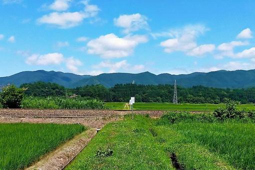 2025年7月の里山9 2025年7月の里山9 用水路,水路,田んぼの写真素材