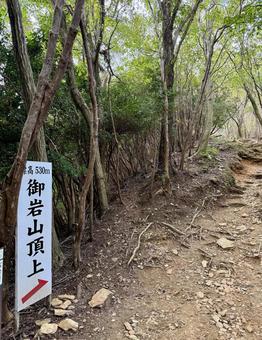 御岩山頂までの道 御岩山頂までの道 茨城県,日立市,御岩神社の写真素材