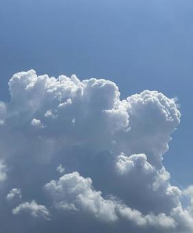 晴れた空 晴れた空の写真