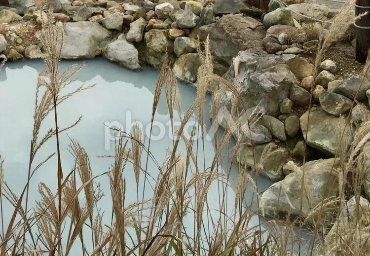 箱根大涌谷の温泉とすすき 紅葉,箱根,すすきの写真素材