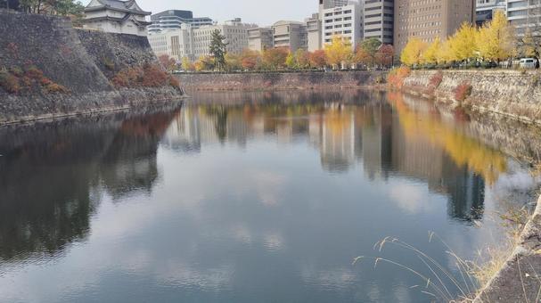 大阪城と空と堀 紅葉,黄色,道の写真素材