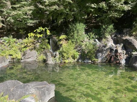 滝 滝の写真