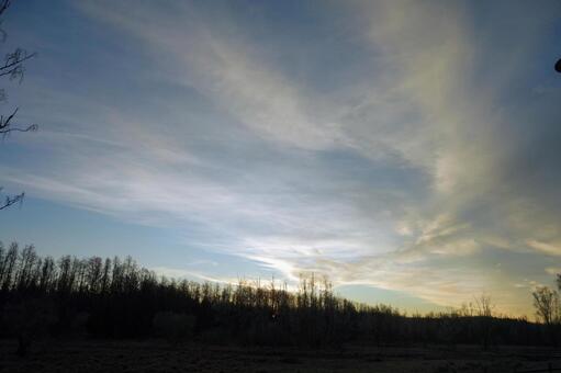 初冬の日の出の空 空,枯れ木,シルエットの写真素材