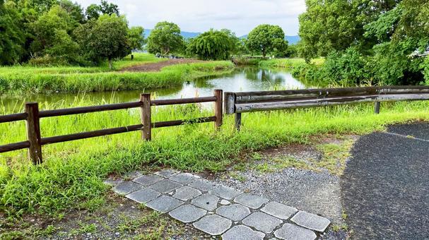ひょうたん島公園の夏風景 ひょうたん島公園の夏風景 ひょうたん島公園,佐賀市,兵庫町の写真素材