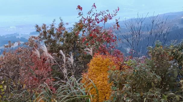 魚沼スカイラインの紅葉 紅葉,魚沼スカイライン,秋の写真素材