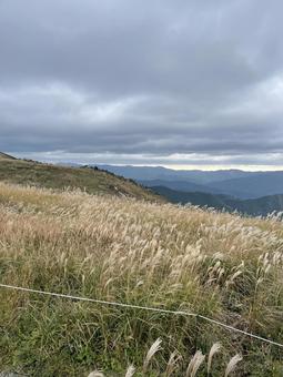 ススキの高原 秋,空,ススキの写真素材