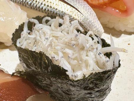 シラス軍艦 シラス,軍艦巻き,寿司の写真素材