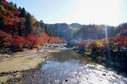 太陽光が輝く紅葉の渓谷と川の流れ 渓流,岸辺,岩の写真素材