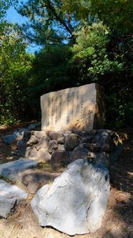 荒磯遊歩道の写真